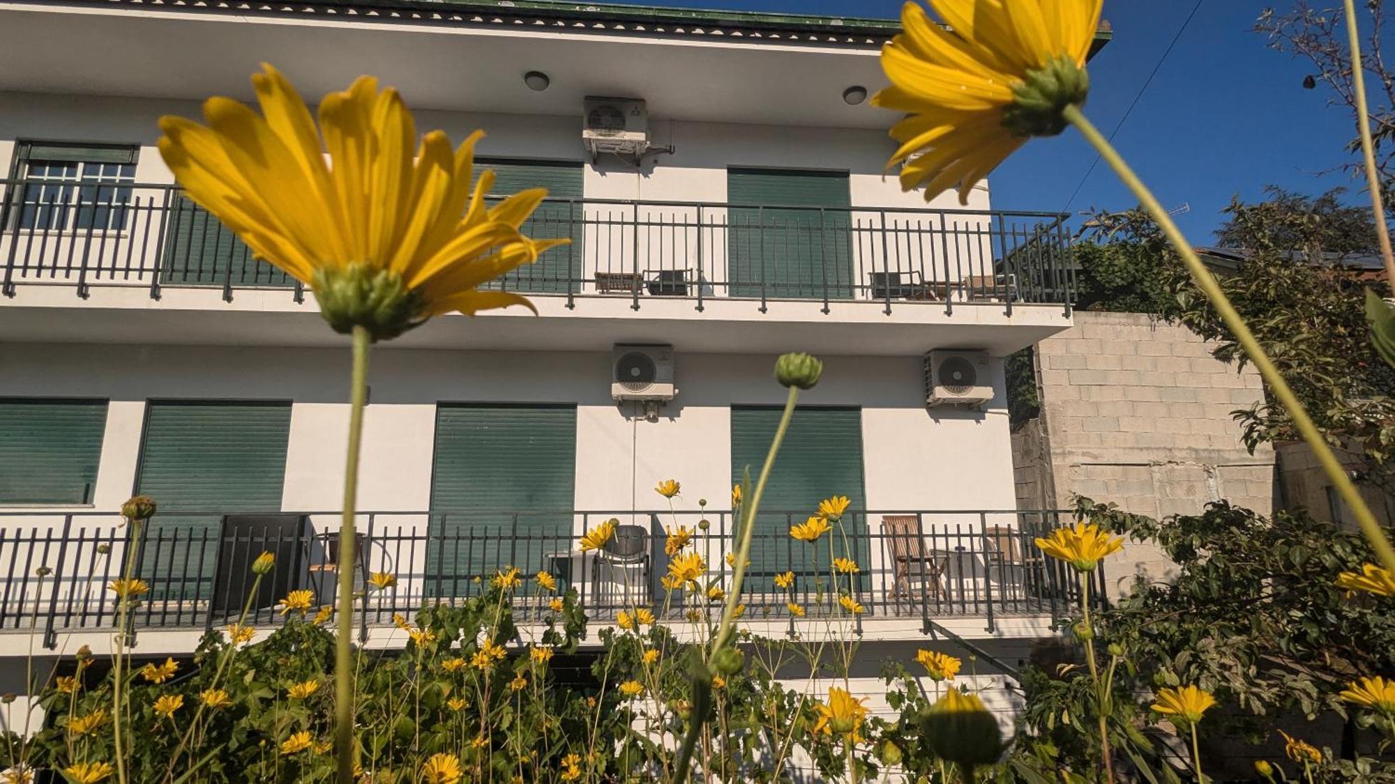 Casa Do Olival Hotel Peso da Régua Exterior foto